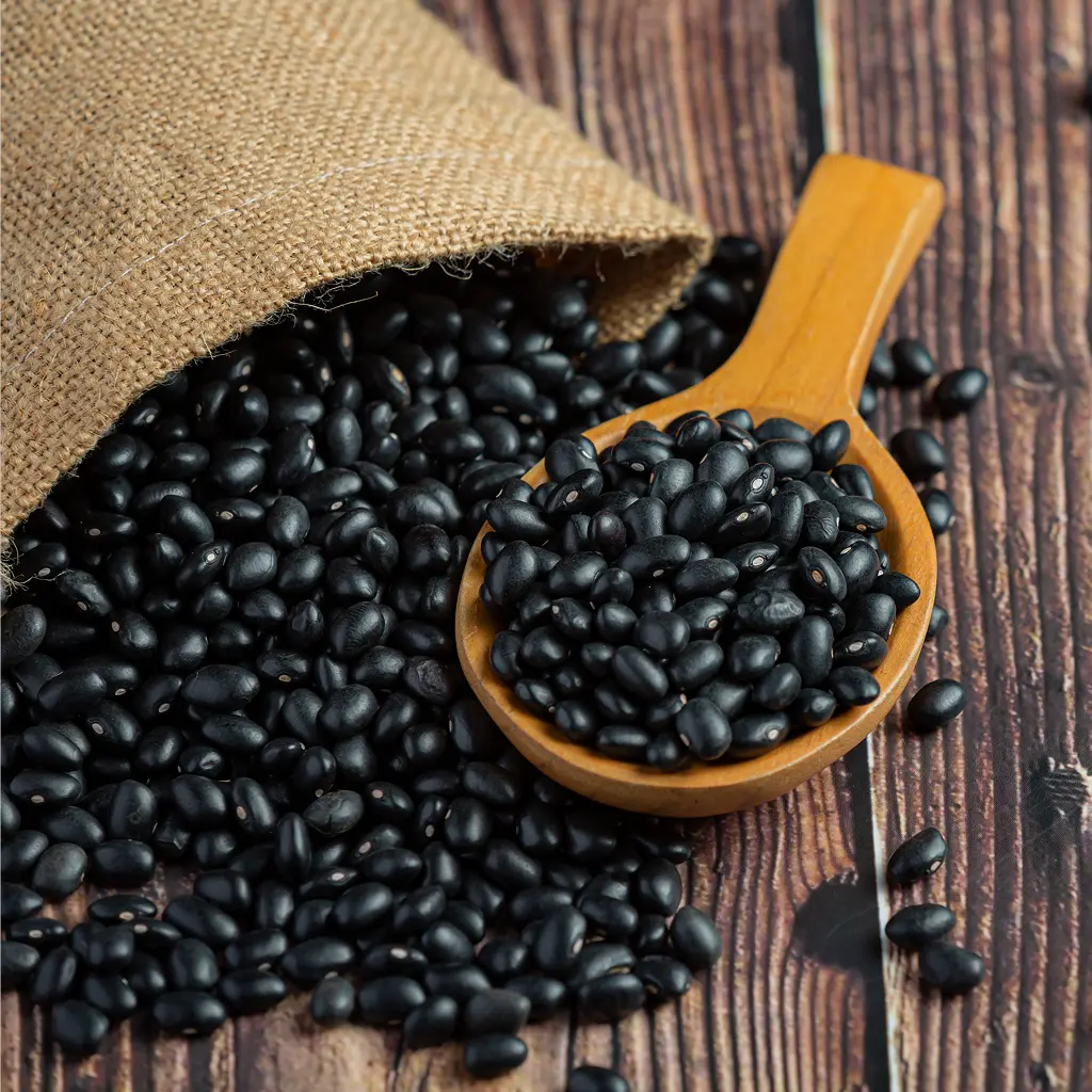 Black Gram Bean